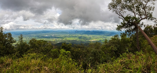 Vista aérea, de, floresta tropical, em, tailandia