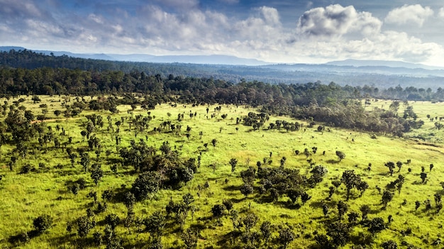 Vista aérea de florestas e pastagens na Tailândia