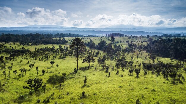 Vista aérea de florestas e pastagens na Tailândia