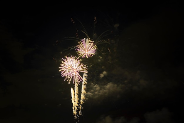 Vista aérea de fogos de artifício brilhantes explodindo com luzes coloridas contra o céu noturno escuro no feriado do Dia da Independência dos EUA