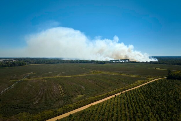Vista aérea de fumaça branca de incêndio florestal subindo poluindo a atmosfera Conceito de desastre natural