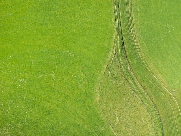 Vista aérea de fundo de prado verde