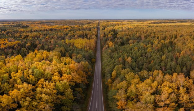 Vista aérea de grande altura de uma longa estrada reta através da floresta densa em cores vivas do outono