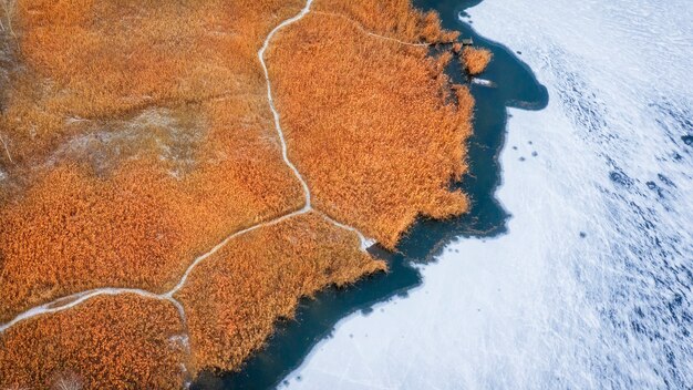 Vista aérea de juncos amarelos na margem de um lago congelado, outono ou inverno paisagem com cores ricas e brilhantes, vista do zangão.