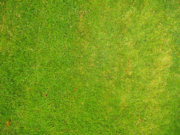 Vista aérea, de, parque