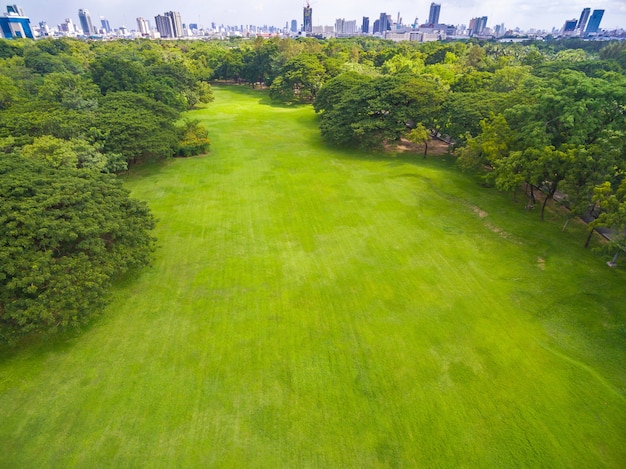 Vista aérea, de, parque