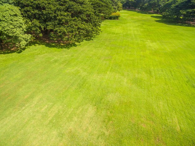 Vista aérea, de, parque