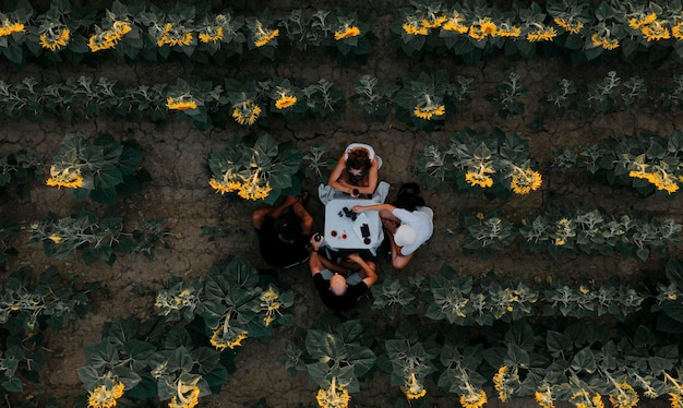 Foto vista aérea de pessoas fazendo piquenique no campo de girassol