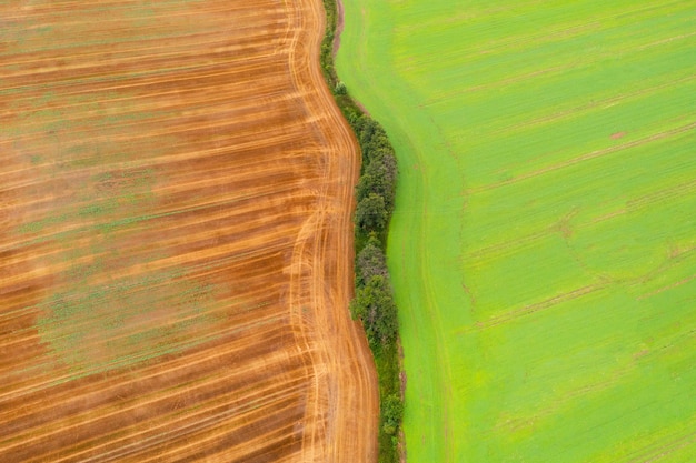 Vista aérea de prados e campos, campo verde