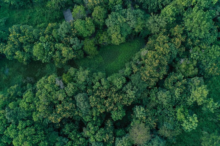 Vista aérea de terras agrícolas / campo de arroz na Tailândia
