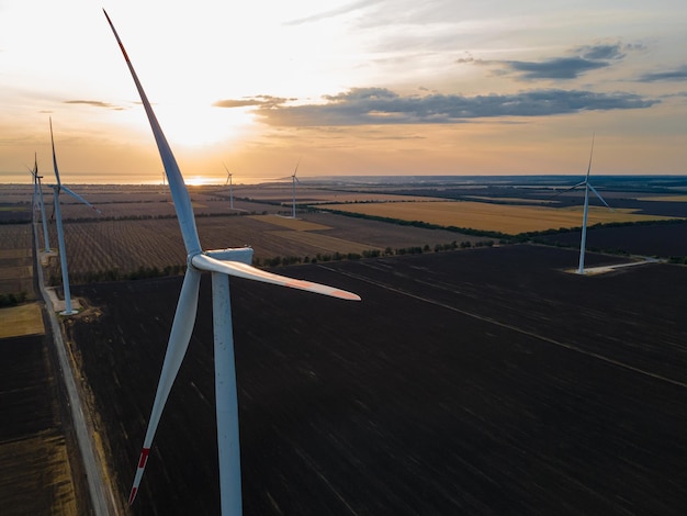 Vista aérea de turbinas de ar em um campo de trigo cultivado em posição parada