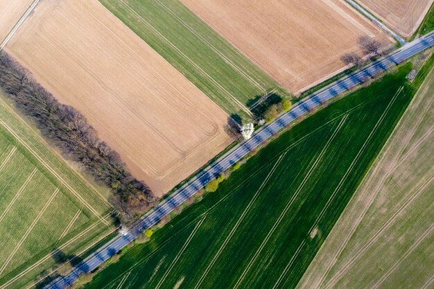 Vista aérea de um campo agrícola