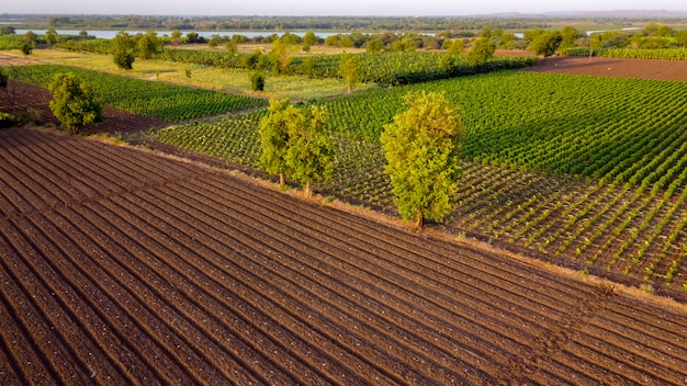 Vista aérea de um campo arado pronto para semear