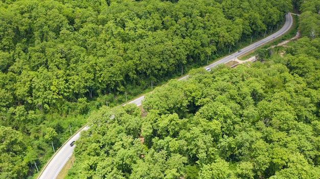 Vista aérea de um carro dirigindo pela floresta