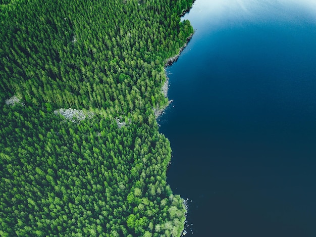 Vista aérea de um lago azul com uma costa rochosa e florestas verdes na Finlândia