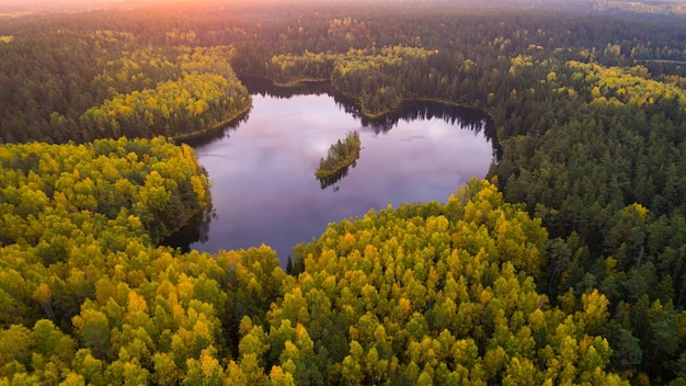 Vista aérea de um lago florestal pela manhã