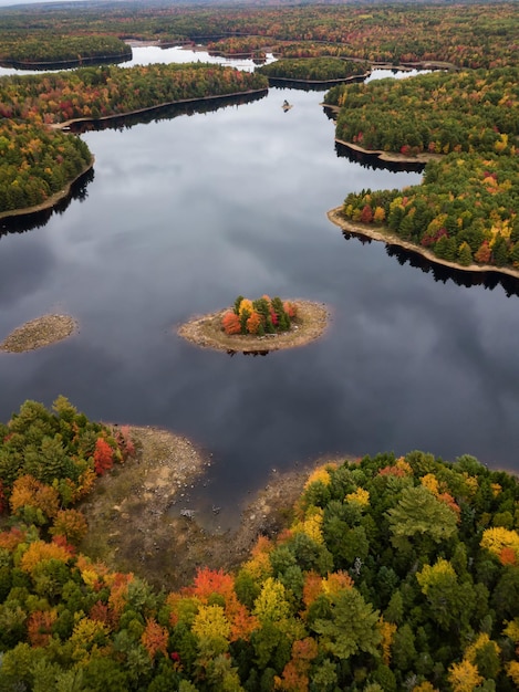 Vista aérea de um lago na floresta com árvores coloridas durante o outono