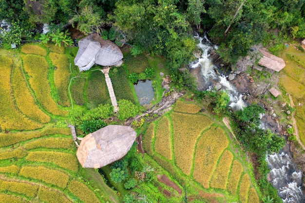 Foto vista aérea de um riacho que flui no meio da fazenda