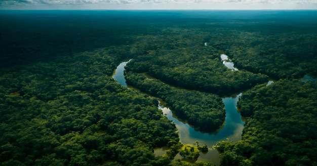 Vista aérea de um rio amazônico em panorama