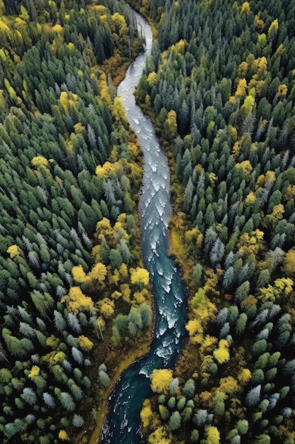 Vista aérea de um rio sinuoso em uma floresta densa criada com generative ai