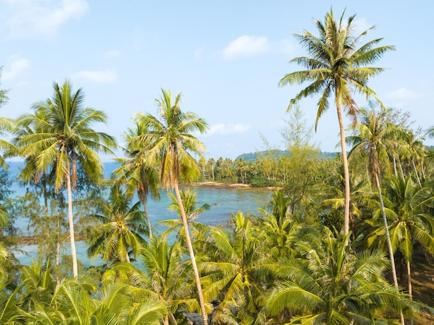 Vista aérea de uma bela praia com água marinha turquesa e palmeiras do golfo da tailândia