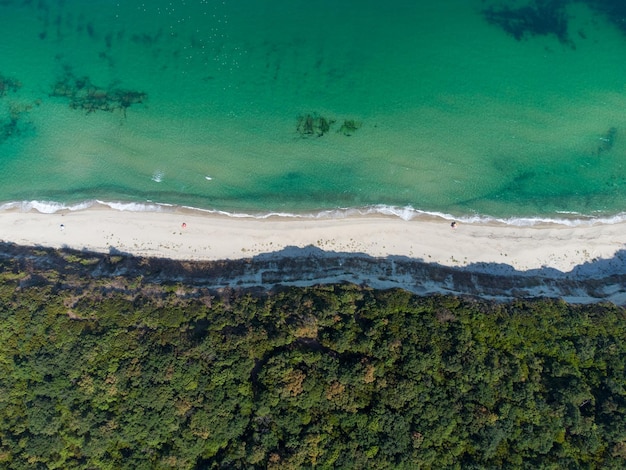 Vista aérea de uma bela praia com floresta e rochas