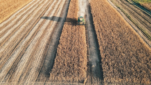 Vista aérea de uma colheitadeira que coleta vespas no campo