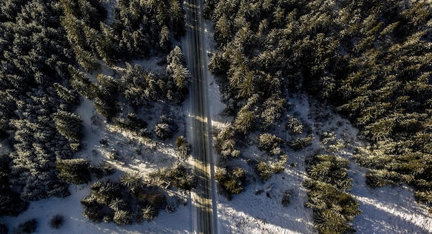 Vista aérea de uma estrada que passa por uma floresta coberta de neve