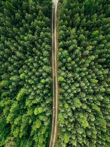 Vista aérea de uma estrada rural através de uma floresta de abetos no verão na Finlândia rural