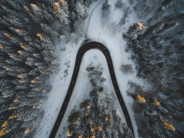 Vista aérea de uma estrada sinuosa através da floresta no inverno