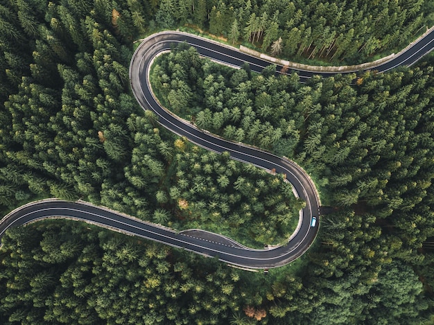 Vista aérea de uma estrada sinuosa em meio a árvores