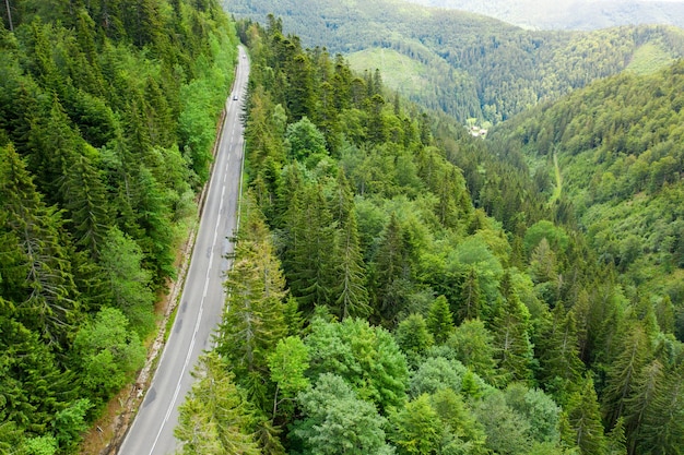 Vista aérea de uma estrada sinuosa na floresta