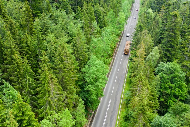 Vista aérea de uma estrada sinuosa na floresta