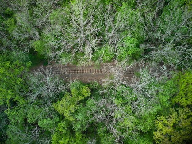 Vista aérea de uma ferrovia de trem na floresta verde