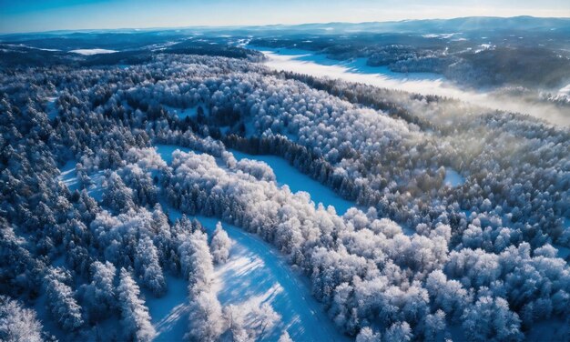 Vista aérea de uma floresta coberta de neve com uma estrada