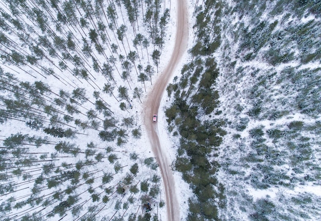 Vista aérea de uma floresta coberta de neve