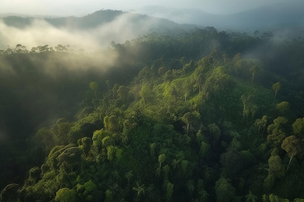 Vista aérea de uma floresta tropical com uma montanha ao fundo