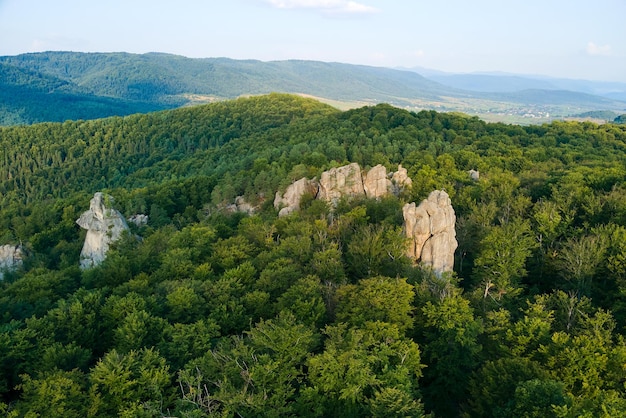 Vista aérea de uma paisagem brilhante com árvores da floresta verde e grandes pedregulhos rochosos entre uma floresta densa no verão. Belas paisagens da floresta selvagem.