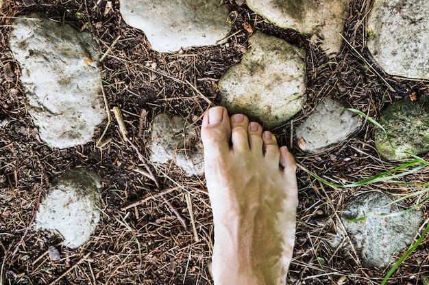 Foto una vista aérea descalza sobre la superficie de piedra en el bosque