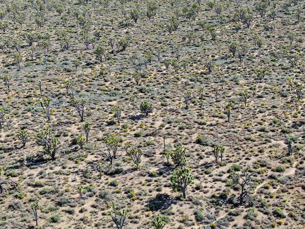 Vista aérea del desierto árido en Arizona, EE.UU.