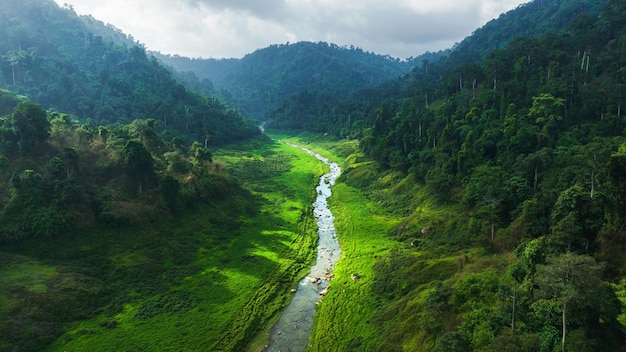 Vista aérea do belo fluxo de água natural e campo verde de grama no conceito de montanha da floresta selvagem viajando e relaxando no tempo de férias