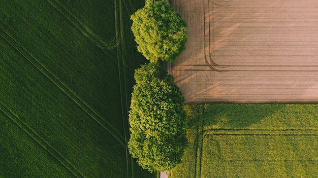 Vista aérea do campo agrícola