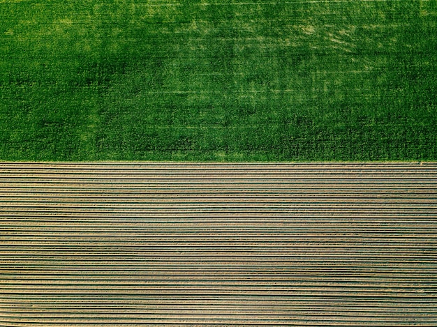 Vista aérea do campo de fileiras de batata na paisagem agrícola na finlândia