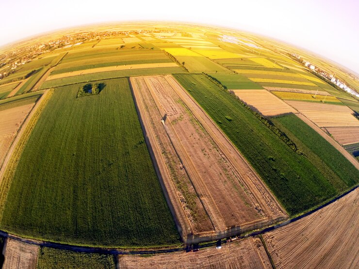 Foto vista aérea do campo de trigo verde.