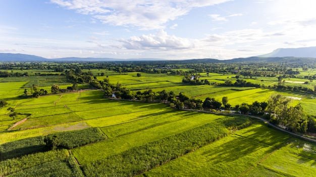 Vista aérea do campo na Ásia