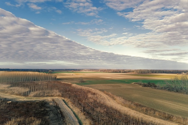 Vista aérea do campo, paisagem agrícola.