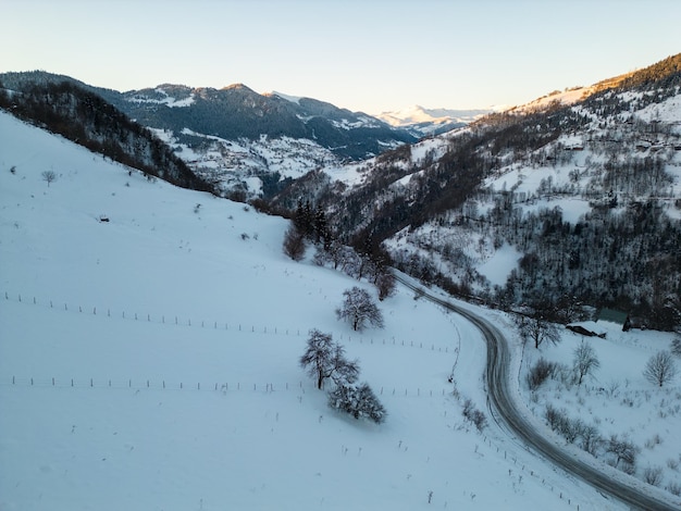 Vista aérea do dia de inverno Woodlands Blue Hour em Giresun Turquia