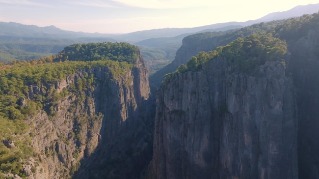 Vista aérea do drone As árvores crescem em rochas altas e cinzentas Paisagem montanhosa Extremo dia ensolarado Céu azul