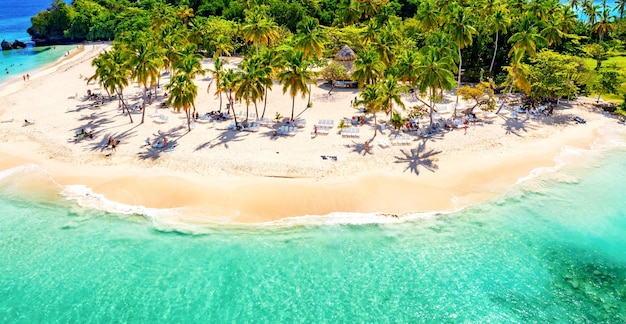 Vista aérea do drone da bela praia da ilha tropical caribenha Cayo Levantado, com palmeiras. Ilha Bacardi, República Dominicana. Fundo de férias.