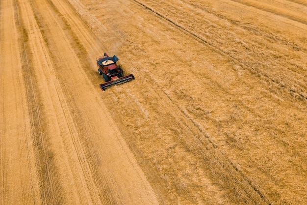 Vista aérea do drone da colheita de trigo baleado voando sobre colheitadeiras trabalhando em colheitadeiras de campo de trigo.